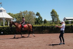 sophie coaching equestrian centre