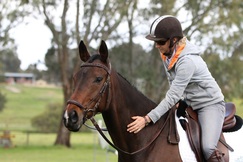dance hall diva eventing thoroughbred with sophie warren