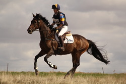 diva galloping cross country eventing