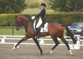 Rialto dressage become an owner